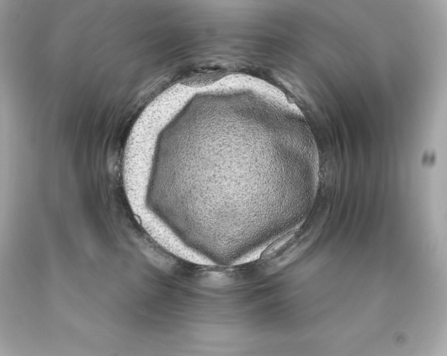 X0000093100285200710241227