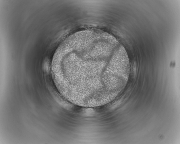 X0000093100287200710241227