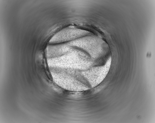 X0000093100288200710241227