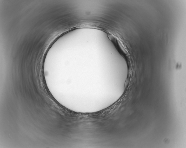 X0000093100289200710241226