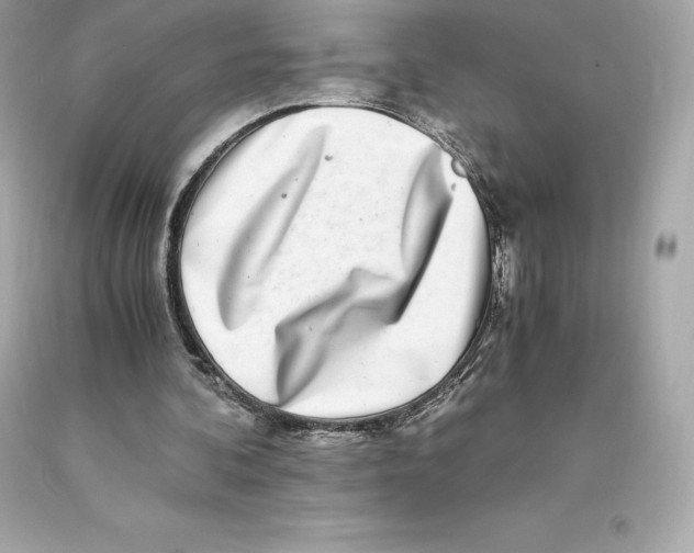 X0000093100292200710241226