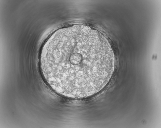 X0000093100293200710241226