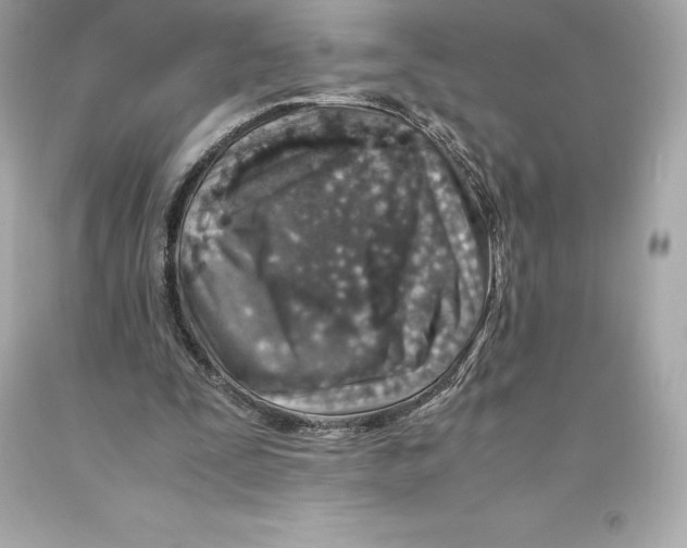 X0000093100295200710241226