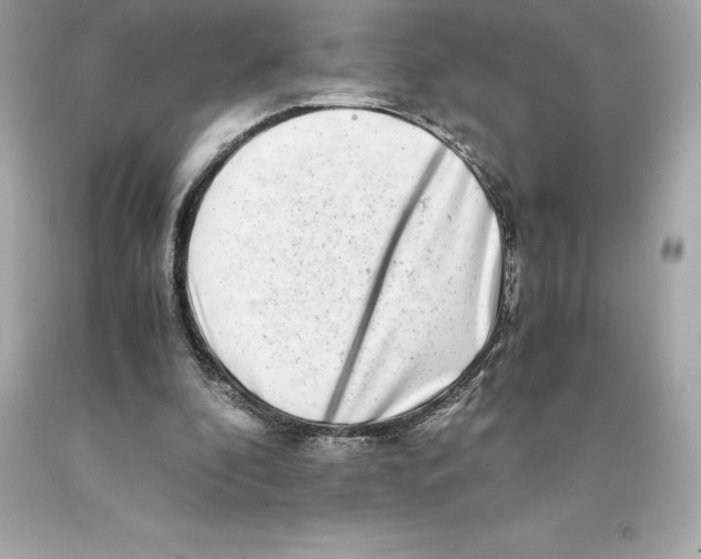 X0000093100296200710241226