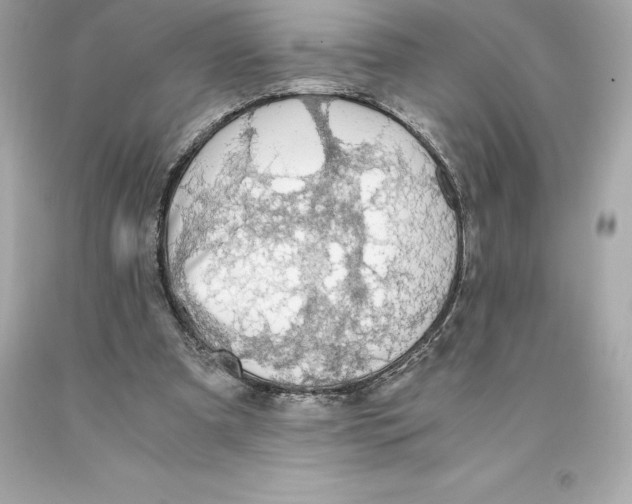 X0000093100297200710241226