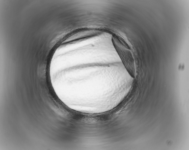 X0000093100299200710241226