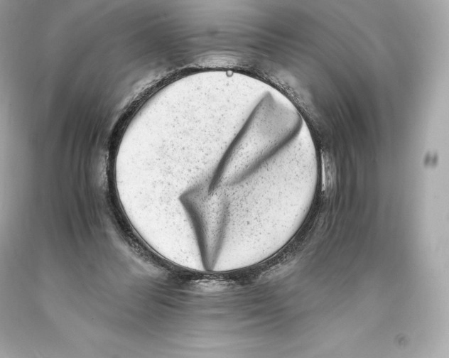 X0000093100300200710241226