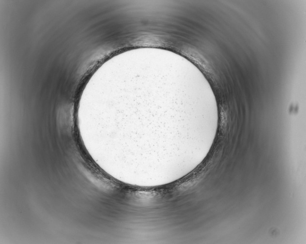 X0000093100302200710241226