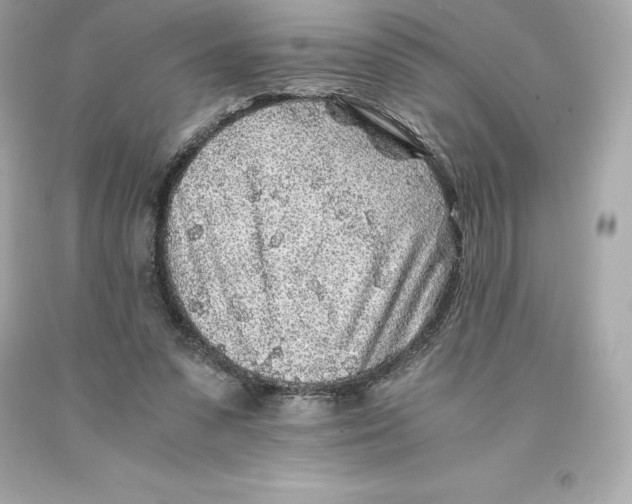 X0000093100303200710241226