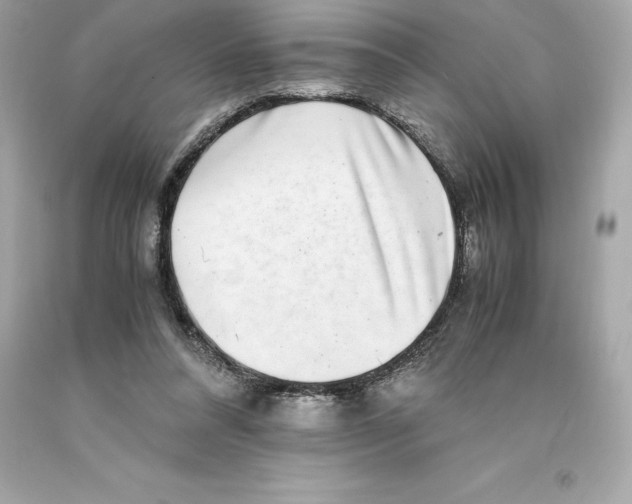 X0000093100304200710241226