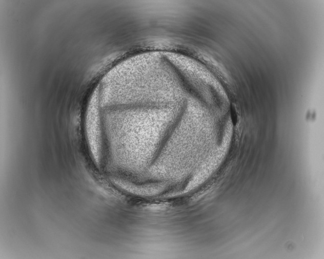 X0000093100306200710241226