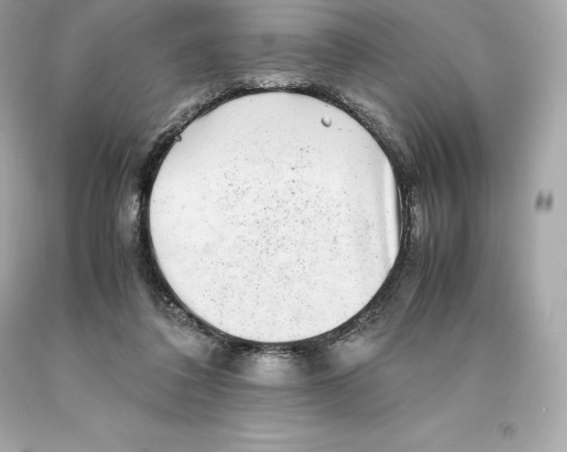 X0000093100308200710241226