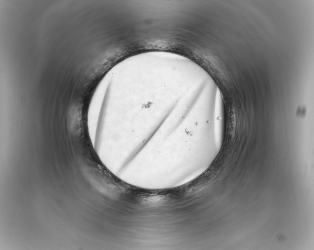 X0000093100312200710241226