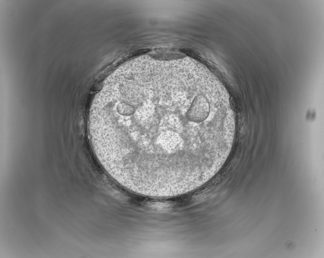 X0000093100313200710241226