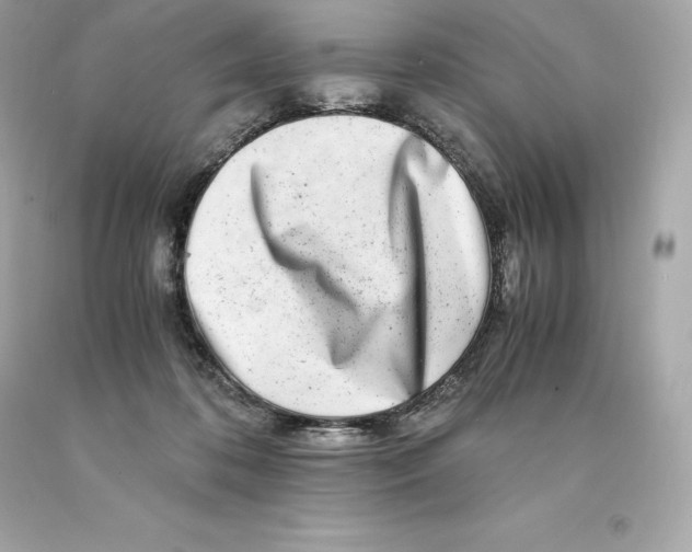 X0000093100316200710241226