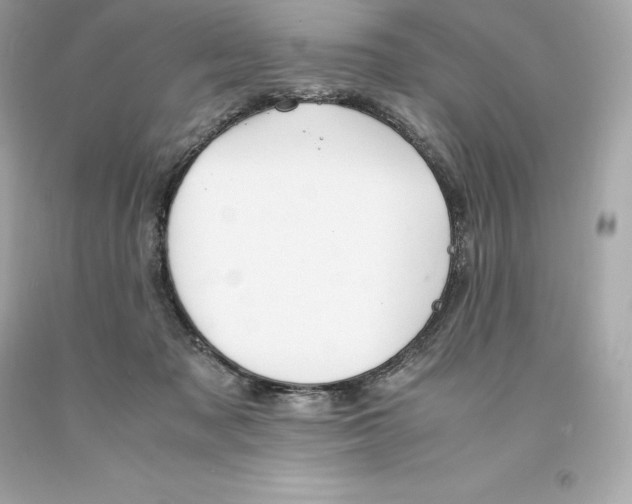 X0000093100317200710241226