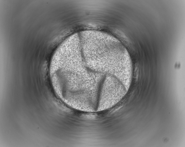 X0000093100318200710241226