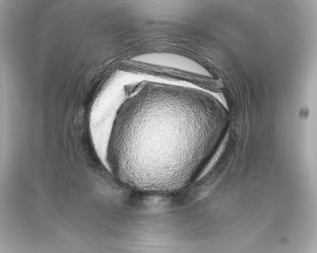 X0000093100319200710241226