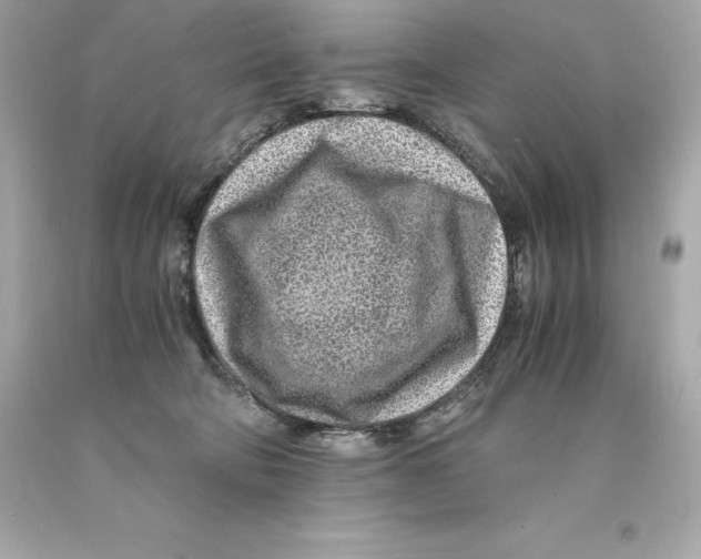 X0000093100322200710241226