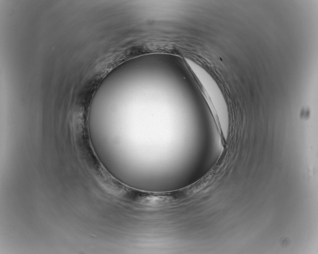 X0000093100323200710241226