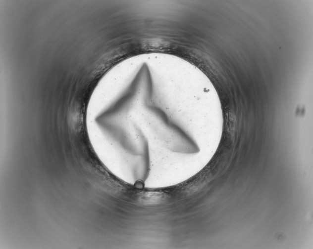 X0000093100324200710241226