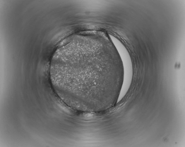 X0000093100325200710241226