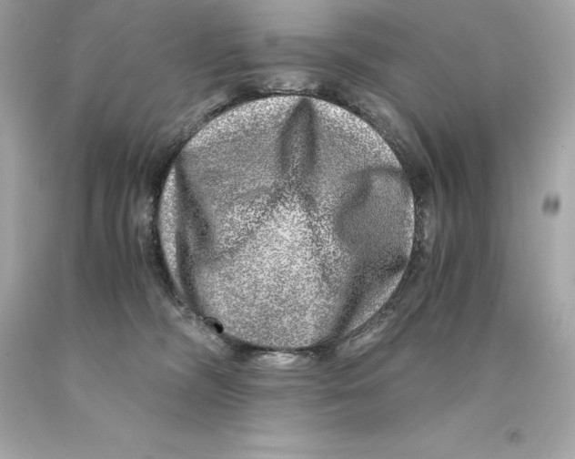 X0000093100326200710241226