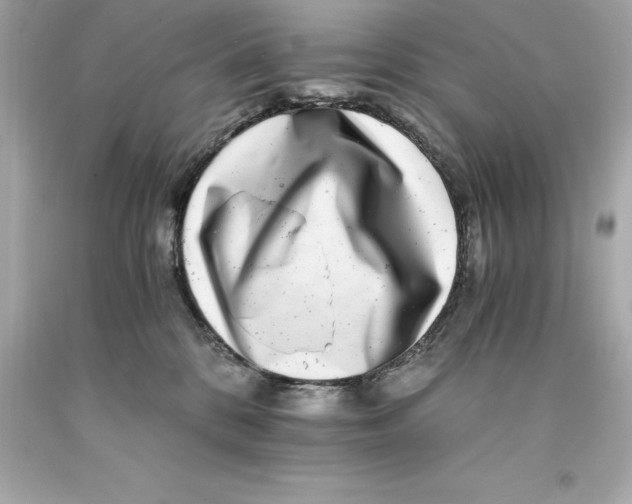 X0000093100328200710241226