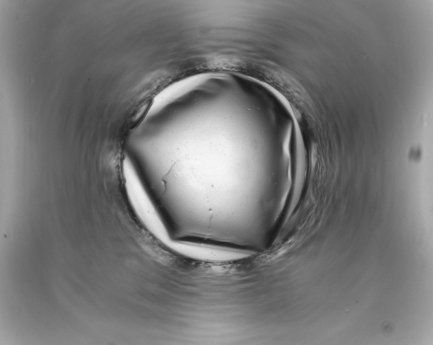 X0000093100329200710241226