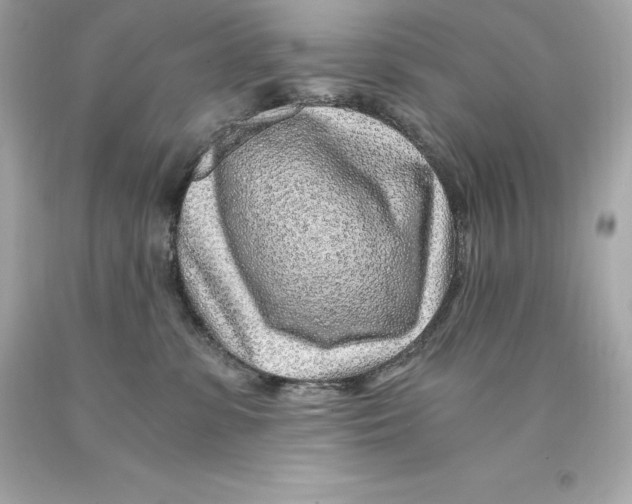 X0000093100331200710241226