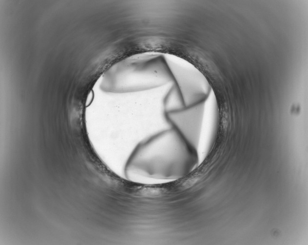 X0000093100332200710241226