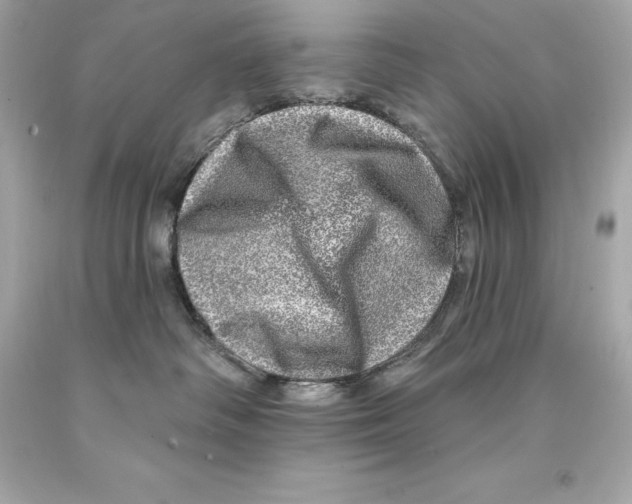 X0000093100334200710241226