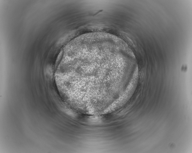 X0000093100335200710241226