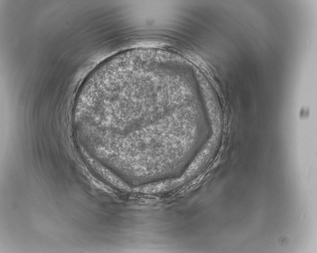 X0000093100337200710241225