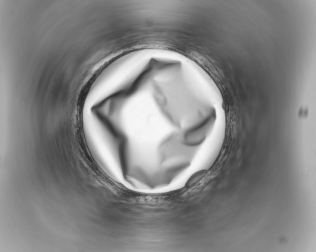 X0000093100338200710241225