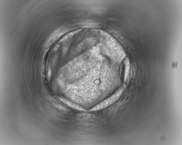 X0000093100339200710241225