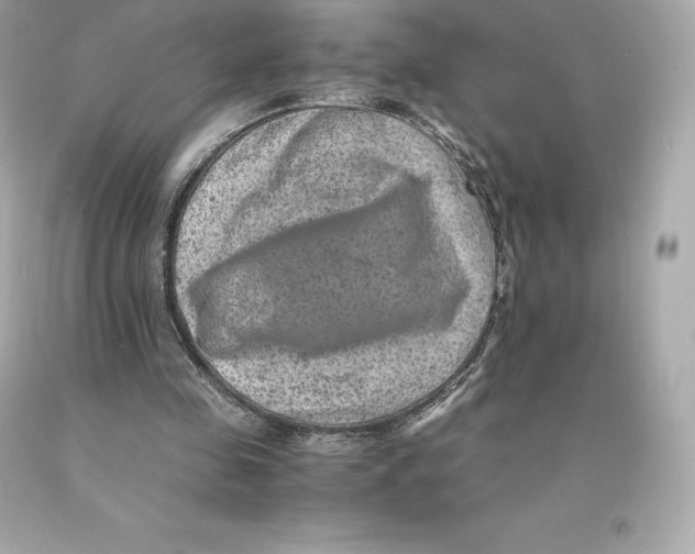 X0000093100341200710241225