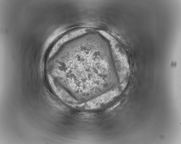 X0000093100343200710241225