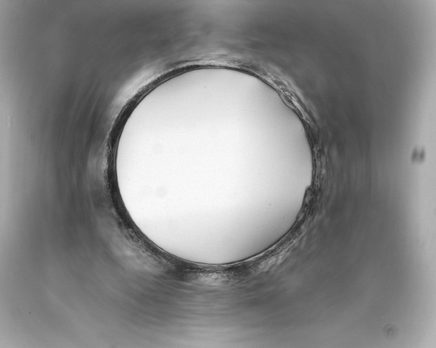 X0000093100344200710241225