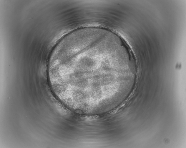 X0000093100345200710241225