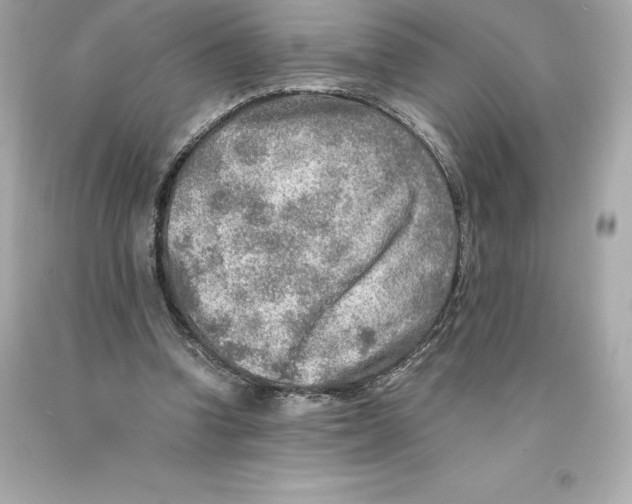 X0000093100346200710241225