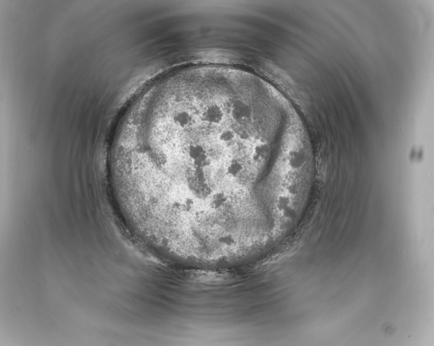 X0000093100347200710241225