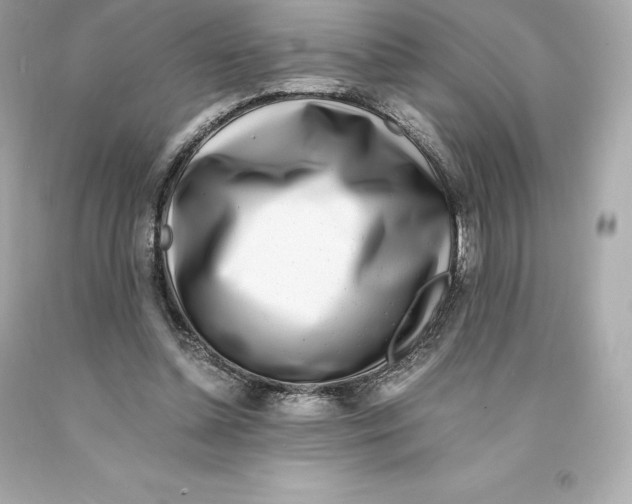 X0000093100348200710241225