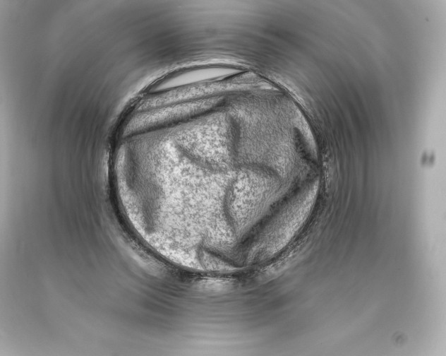 X0000093100350200710241225