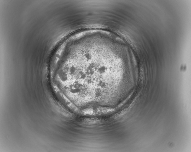 X0000093100351200710241225