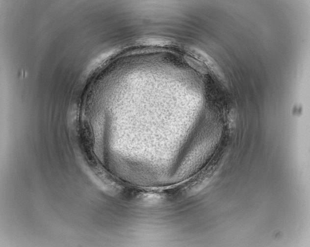 X0000093100352200710241225