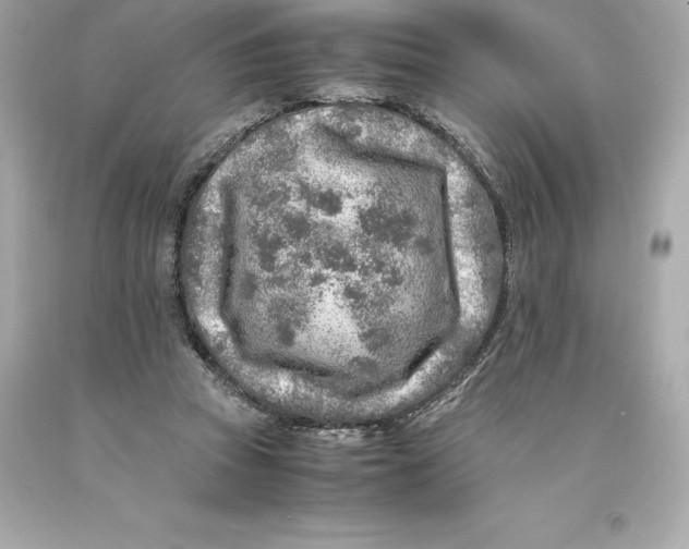 X0000093100353200710241225