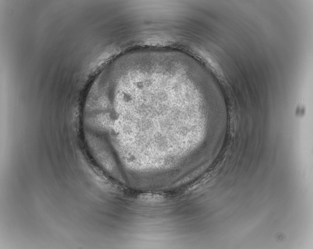 X0000093100354200710241225