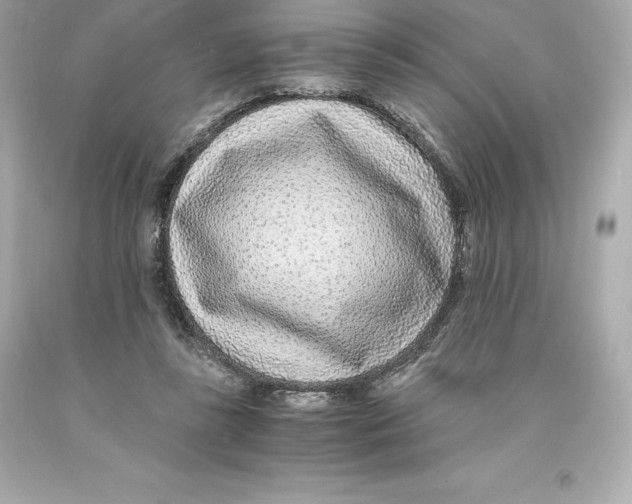 X0000093100355200710241225