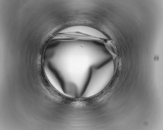 X0000093100356200710241225